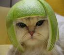 Que se nos va el mel&oacute;n...
